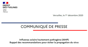 Influenza aviaire hautement pathogène - Rappel des recommandations 